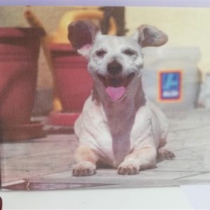 Vaszonkep velemeny erika